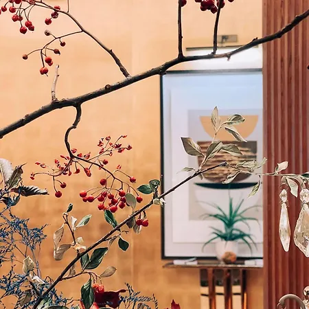 Maison Astor Paris, Curio Collection By Hilton